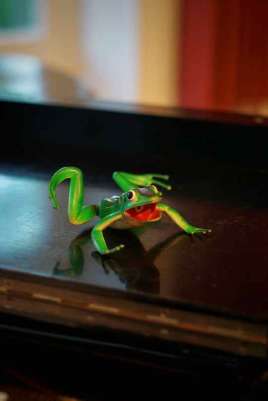 Frosch in grün aus Gummi